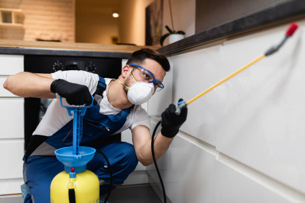 Best Residential Pest Control  in Wyong, MI