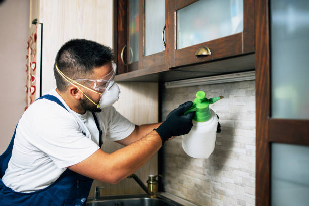 Best Mosquito Control Services  in Wyong, MI