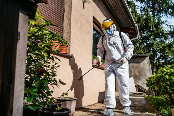 Best Ant Control Services  in Wyong, MI