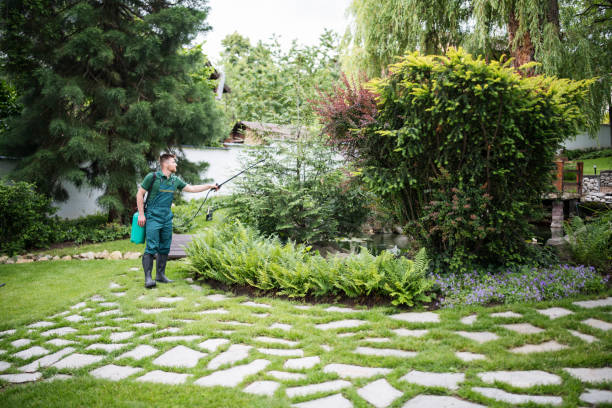 Best Best Pest Control Companies  in Wyong, MI