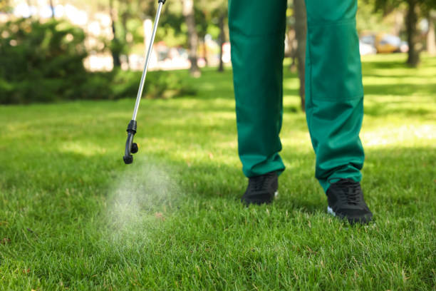  Wyong, MI Pest Control Pros