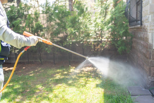 Best Best Pest Control Near Me  in Wyong, MI