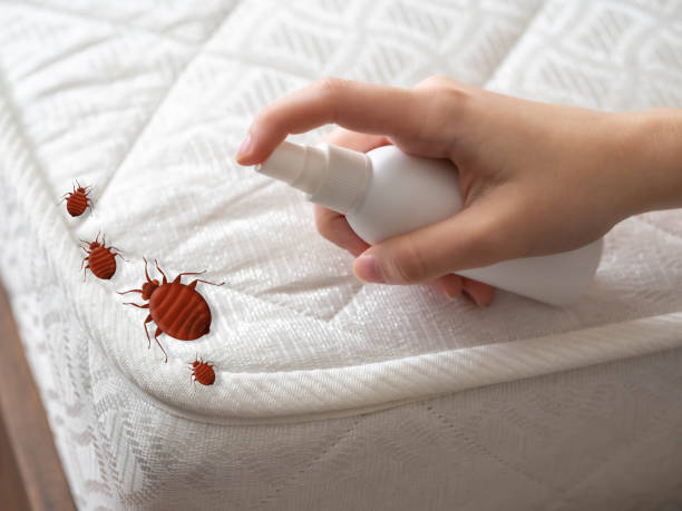 Best Ant Control Services  in Wyong, MI