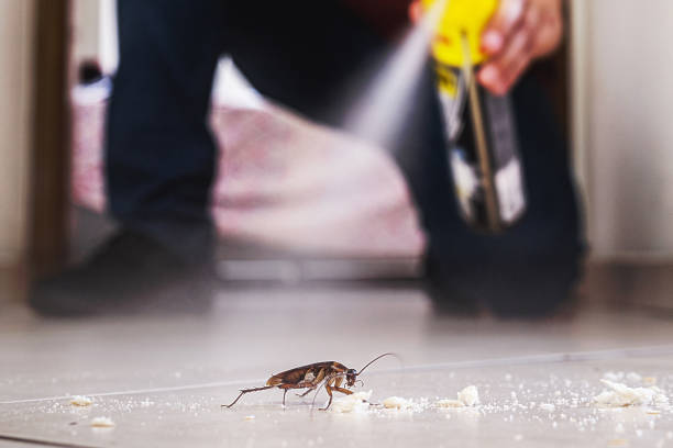 Best Wasp Removal Services  in Wyong, MI