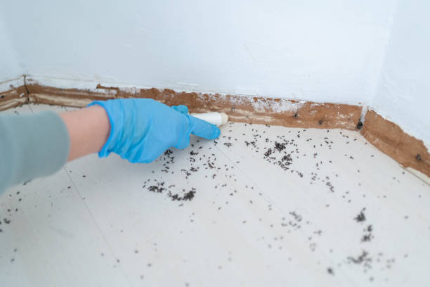 Pest Control for Restaurants in Wyoming, MI