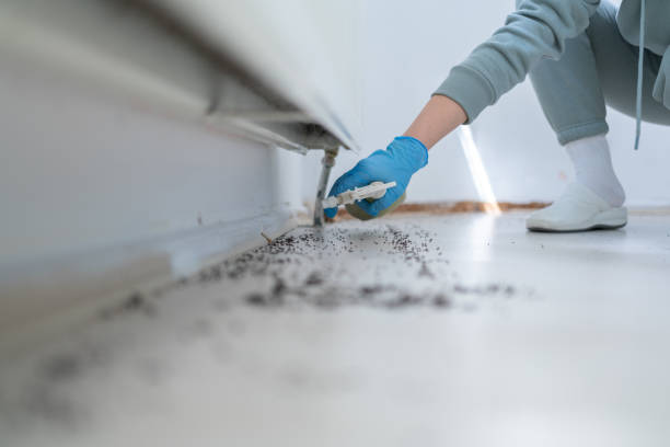 Flea Control Services in Wyoming, MI